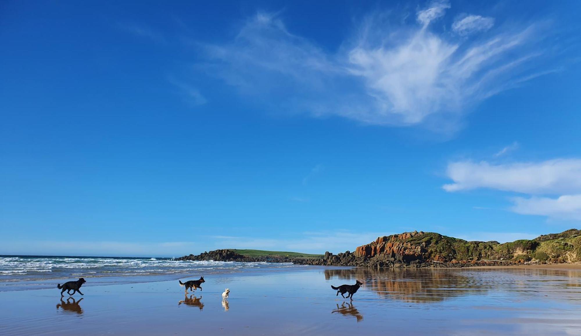 Hawley House Hotel Port Sorell Buitenkant foto