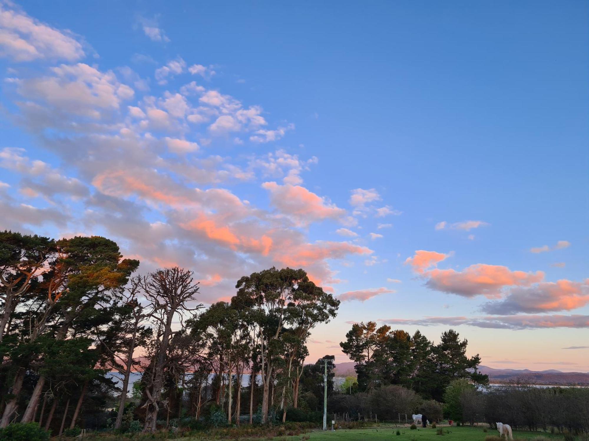 Hawley House Hotel Port Sorell Buitenkant foto